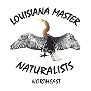 lmna-northeast-logo-2.5x2.5-2
